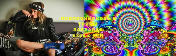 PSILOCYBIN Абинск
