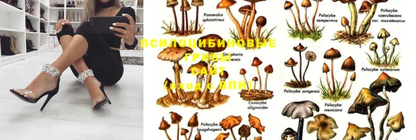 дмт Алексин