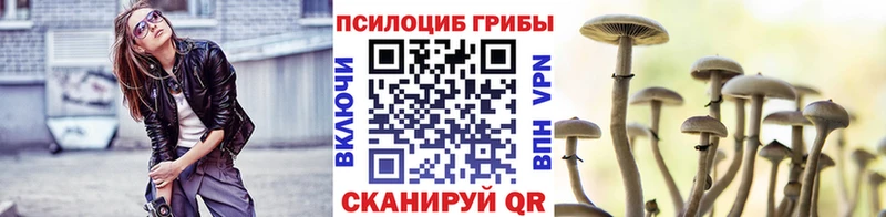 Галлюциногенные грибы Cubensis  Когалым 