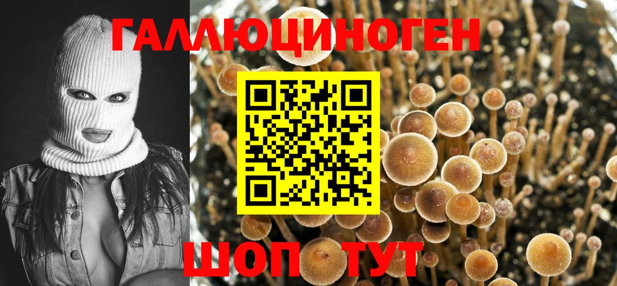 Когалым  купить наркотик  Вход с VPN  Галлюциногенные грибы Cubensis 